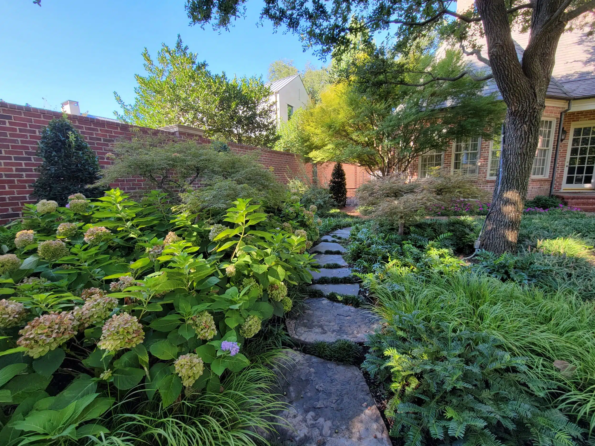 Landscape Design Lewisville